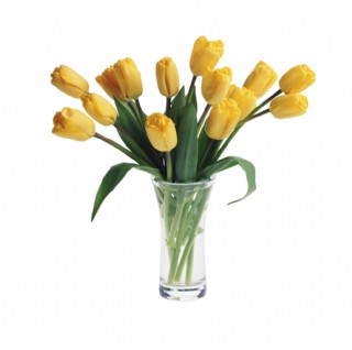 水彩素材高清智能对象