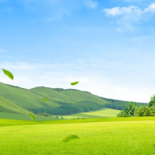 绿色草地简约保健品促销psd分层主图背景