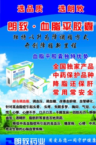 朗致血脂平胶囊